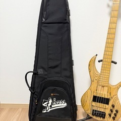 【希少】f-bass BN5 Natural 2010年製 カナダ製ハンドメイド 5弦ベース ファーストオーナーの画像