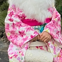 振袖貸します（╹◡╹）