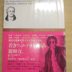 『若きウェルテルの悩み　親和力ほか』ゲーテ　講談社の画像