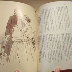 『若きウェルテルの悩み　親和力ほか』ゲーテ　講談社の画像