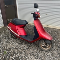 希少　 タクトIVY 4サイクル②　の画像