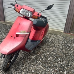 希少　 タクトIVY 4サイクル②　の画像