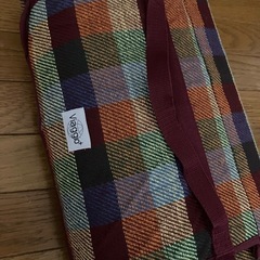 【レジャーシート】【大判】【海外】の画像