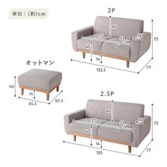 RASIK インテリアソファ 『ida イーダ』ソファ単品 2.5人掛け グレー
 の画像