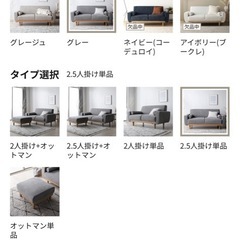 RASIK インテリアソファ 『ida イーダ』ソファ単品 2.5人掛け グレー
 の画像