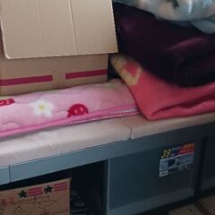パイプベッド、机、ラック無料で差し上げます　　引き取り限定の画像
