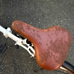 VolksWagen20インチ折りたたみ自転車の画像