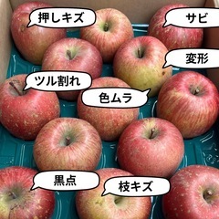 【青森県産】【送料無料】 【産地直送】【名月】【家庭用】【厳重梱包】【5KG】の画像