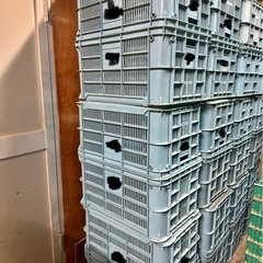 コンテナ の画像