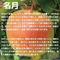 【青森県産】【送料無料】 【産地直送】【名月】【家庭用】【簡易梱包】【8KG】の画像