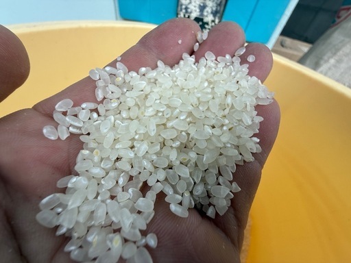 受付再開✨新米あきろまん減農薬