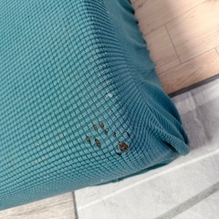 ソファーベットの画像