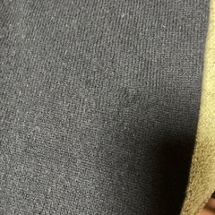 ラルフローレンニットの画像