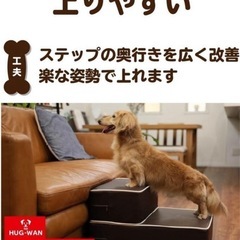 犬　階段　ステップ　ハグワン
　の画像