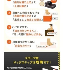 犬　階段　ステップ　ハグワン
　の画像