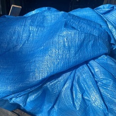 サイズいろいろ　ブルーシート　まとめて引き取り歓迎の画像