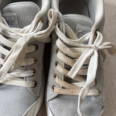 EDWINスニーカーの画像