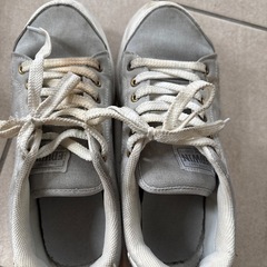 EDWINスニーカーの画像