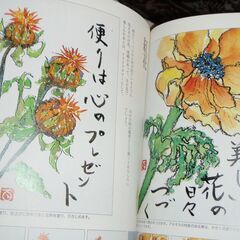 やさしいはがき絵　新品同様の画像