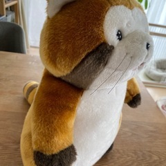 レア⭐︎ラスカル　ふわふわ　大きいぬいぐるみの画像