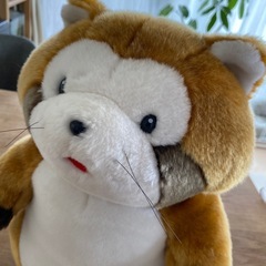 レア⭐︎ラスカル　ふわふわ　大きいぬいぐるみの画像