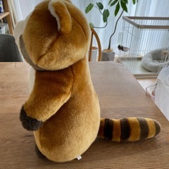 レア⭐︎ラスカル　ふわふわ　大きいぬいぐるみの画像