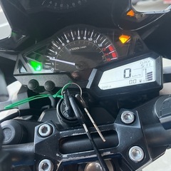Z250の画像