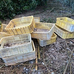 農業　コンテナ　薄型　差し上げますの画像