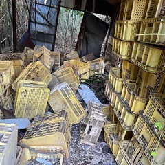 農業　コンテナ　薄型　差し上げますの画像