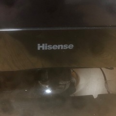 早めの取り引き希望‼️Hisense32型液晶TVの画像