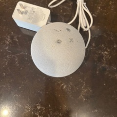 アレクサの画像