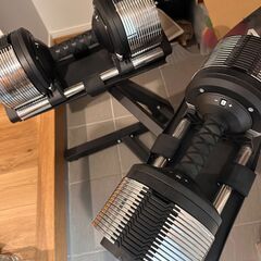 ライシン ヘリックスミラー 1kg刻み 32kg  2個とスタンドセット  【2024年モデル】の画像