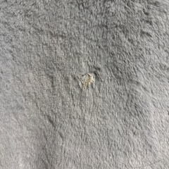 もこもこビッグパーカー 3Lの画像