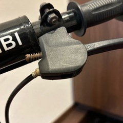 ストライダーの画像