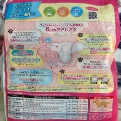 マナーウェア　M22枚　女の子　　 の画像