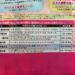 マナーウェア　M22枚　女の子　　 の画像