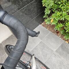 ロードバイク(Alton ROADMASTER 816RA)　売りますの画像