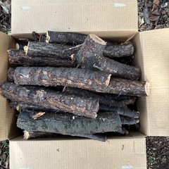 伐採した木の枝の画像