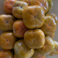 あま〜あ柿2キロ13〜15の画像