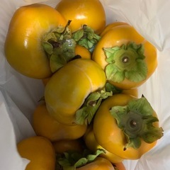 あま〜あ柿2キロ13〜15の画像