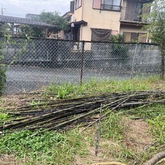 黒竹あげます。の画像