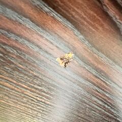 カフェテーブル 幅60cm 高さ71.5cmの画像