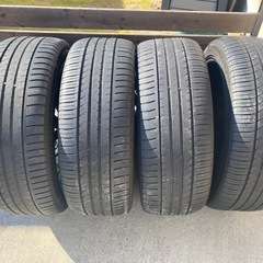 ロクサーニマルチフォルケッタの画像