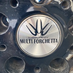 ロクサーニマルチフォルケッタの画像