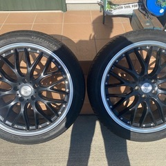 ロクサーニマルチフォルケッタの画像