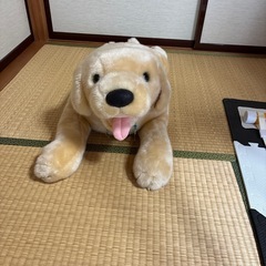 でか犬ぬいぐるみ🐶の画像
