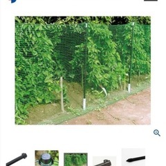 【未使用品】ダイム 防獣杭　太20mm  長120cm  50本セット（5本×10組）の画像