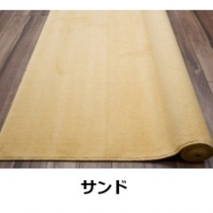 ６畳用絨毯の画像