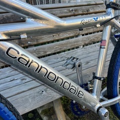 CANNONDALE KILLER900の画像