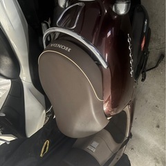 HONDA ジョルノの画像